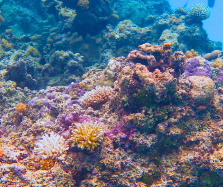 Resort Tava'E Amuri Kültér fotó