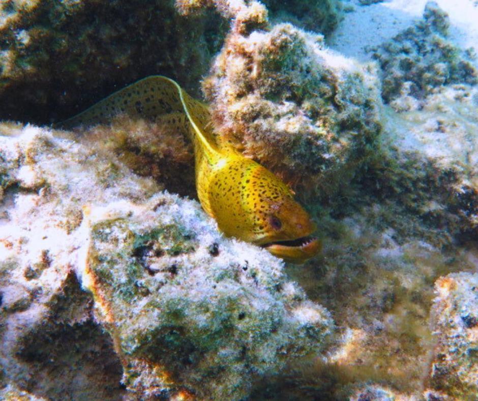 Resort Tava'E Amuri Kültér fotó