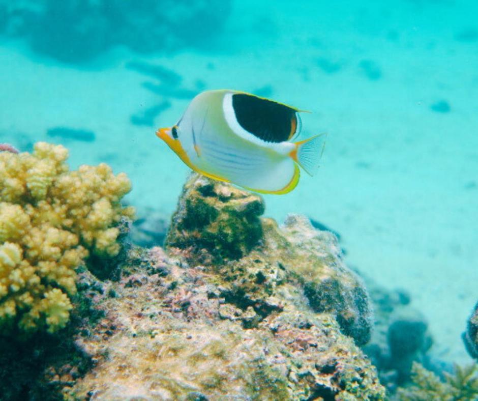 Resort Tava'E Amuri Kültér fotó