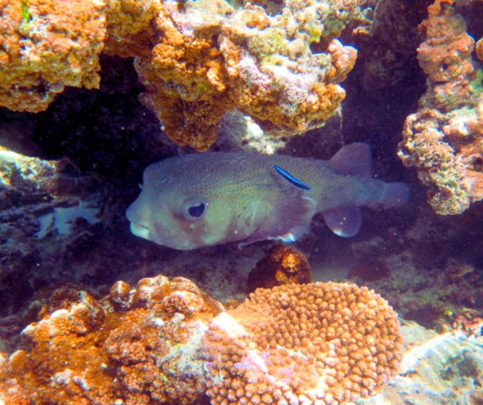 Resort Tava'E Amuri Kültér fotó
