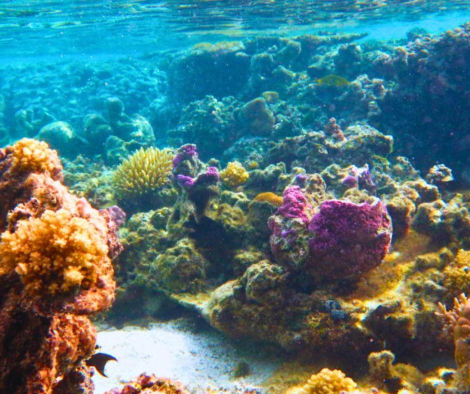 Resort Tava'E Amuri Kültér fotó